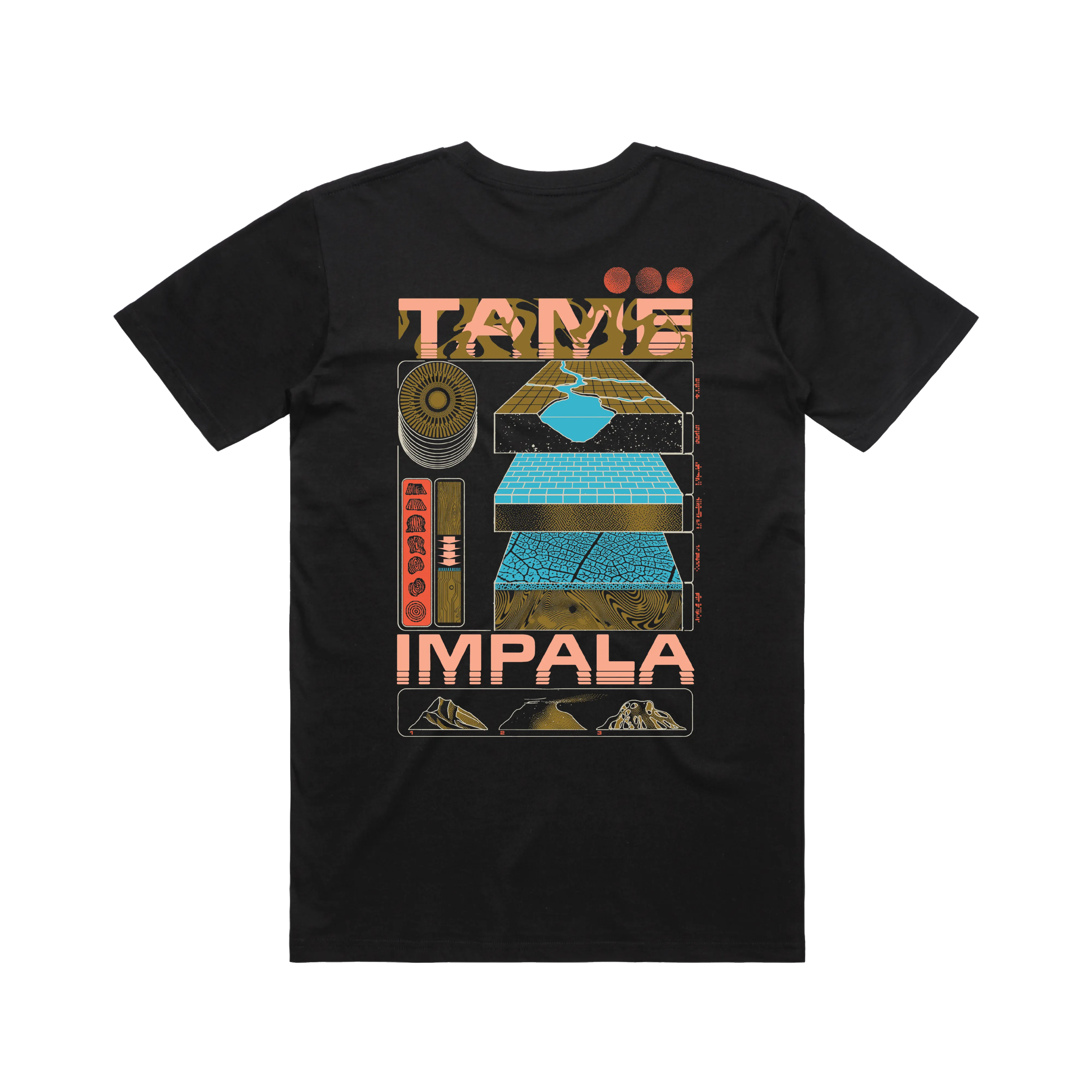 Evolution / Black T-shirt