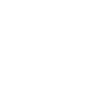 Shit Creek Survivor