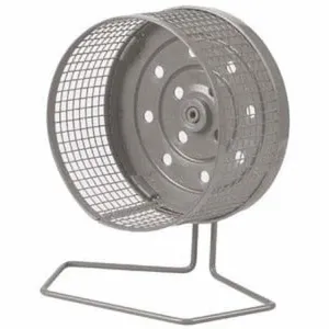 TRAINING WHEEL - M GREY